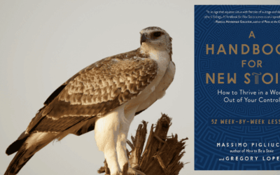 Manual para Novos Estóicos