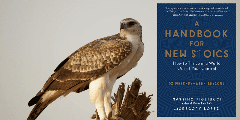 manual-para-novos-estoicos