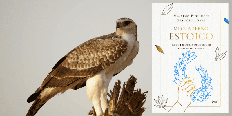 mi-cuaderno-estoico-libro